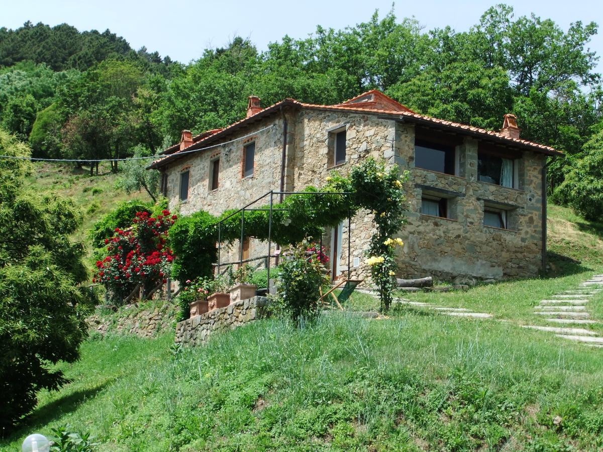 Ferienwohnung Fattoria Di Pietrabuona Pescia Exterior foto