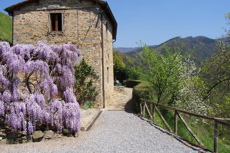 Ferienwohnung Fattoria Di Pietrabuona Pescia Exterior foto