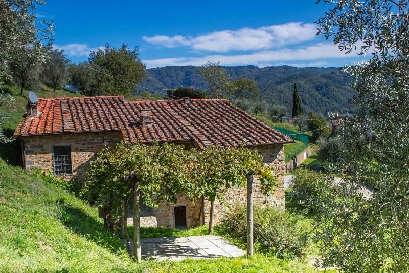 Ferienwohnung Fattoria Di Pietrabuona Pescia Exterior foto